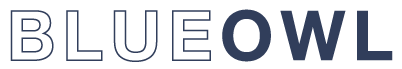 Blueowl logo